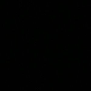 Meet your Posher, Evelyn